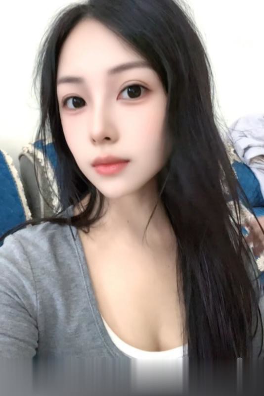 混血新疆小猫咪