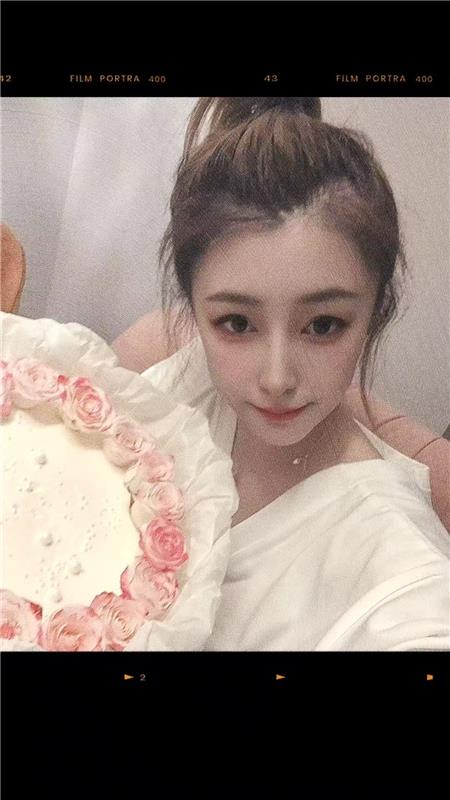 重庆市江北区猫猫